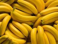 Bananas - Organic / Fairtrade