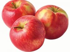 Apples Juicing Organic